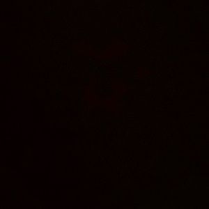 Meet your Posher, Aaliyah